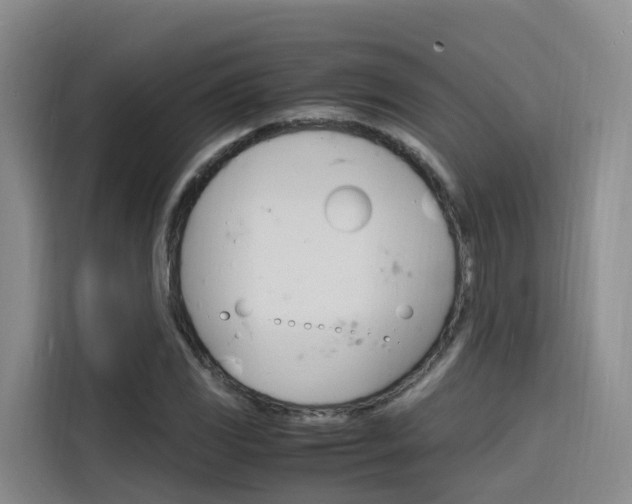 X0000116141117200911230926