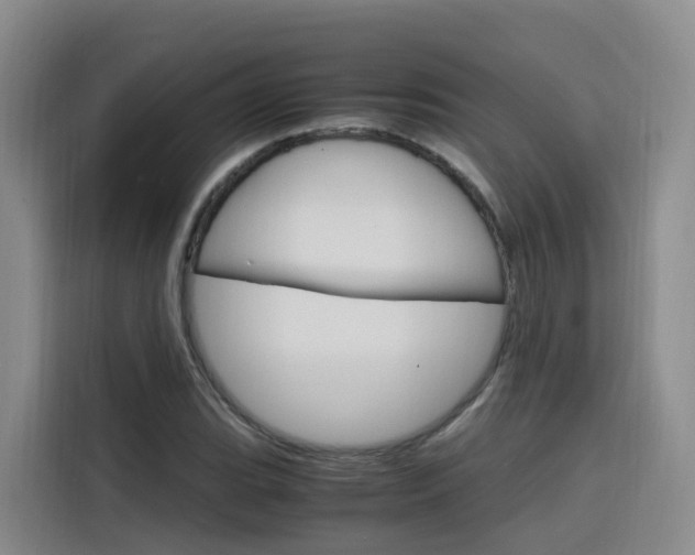 X0000116141119200911230926