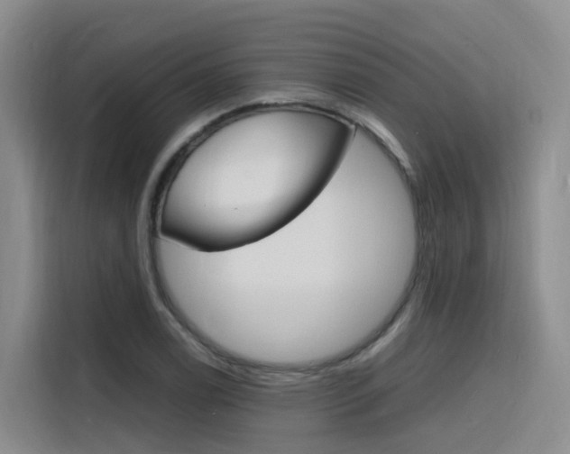 X0000116141122200911230926