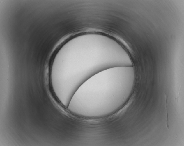 X0000116141126200911230926