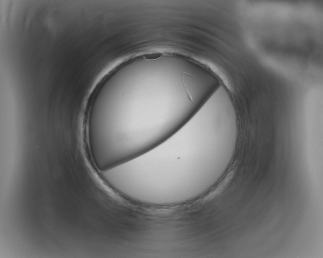 X0000116141134200911230926