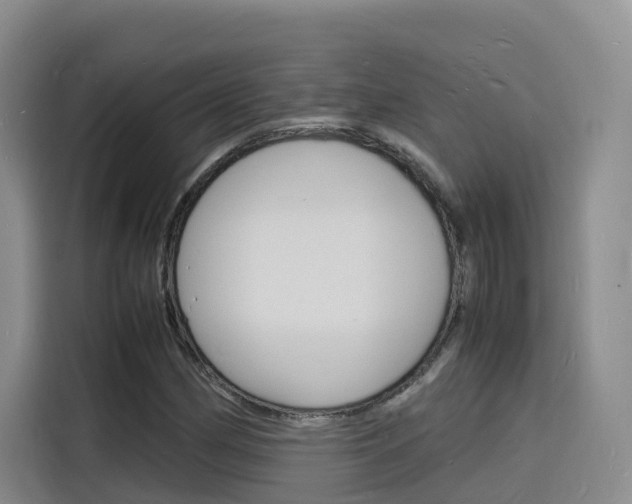 X0000116141162200911230926