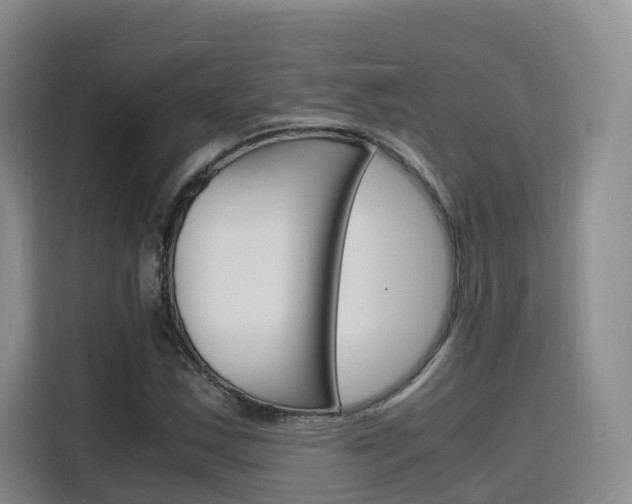 X0000116141163200911230926