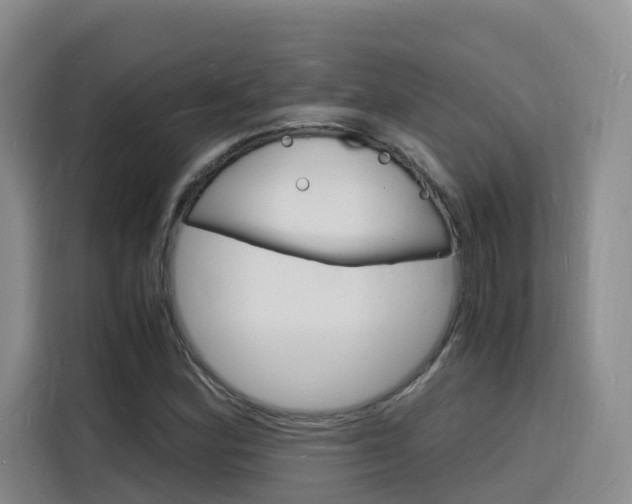X0000116141164200911230926