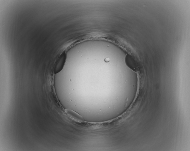 X0000116141169200911230926
