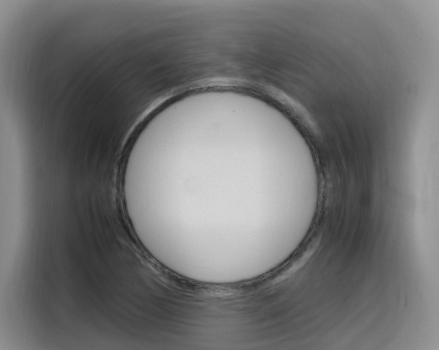 X0000116141170200911230926