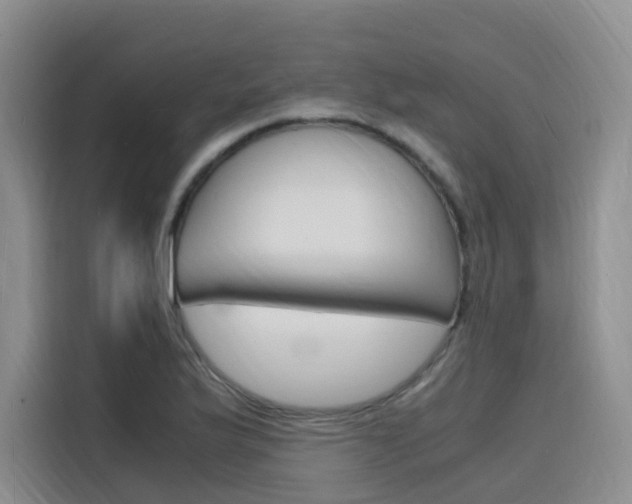 X0000116141175200911230926