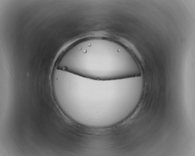 X0000116141176200911230925