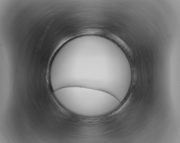 X0000116141178200911230925