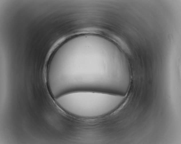 X0000116141180200911230925