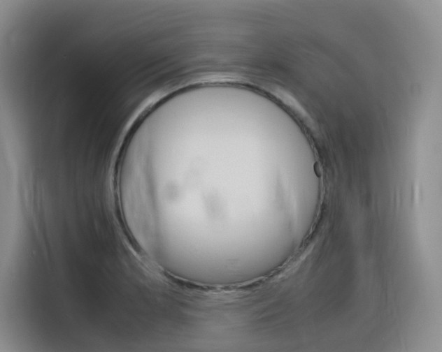 X0000116141181200911230925