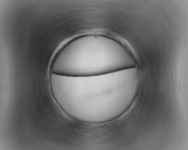 X0000116141184200911230925