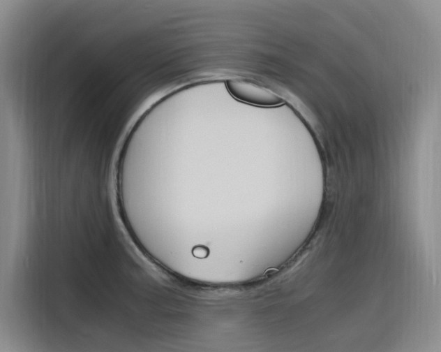 X0000116141187200911230925