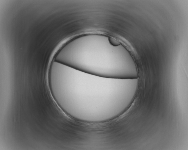 X0000116141188200911230925