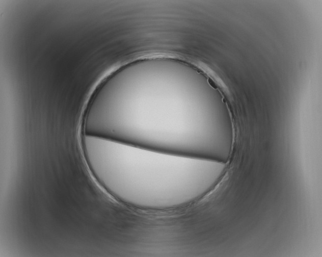 X0000116141189200911230925
