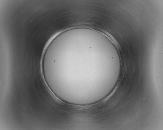 X0000116141196200911230925
