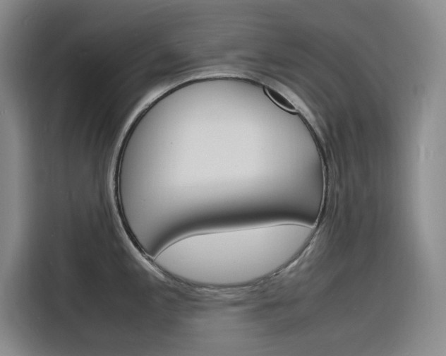 X0000116141197200911230925