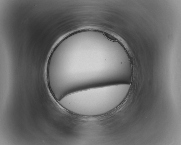 X0000116141199200911230925