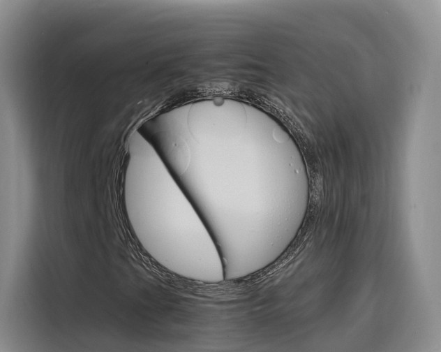 X0000116141201200911230925