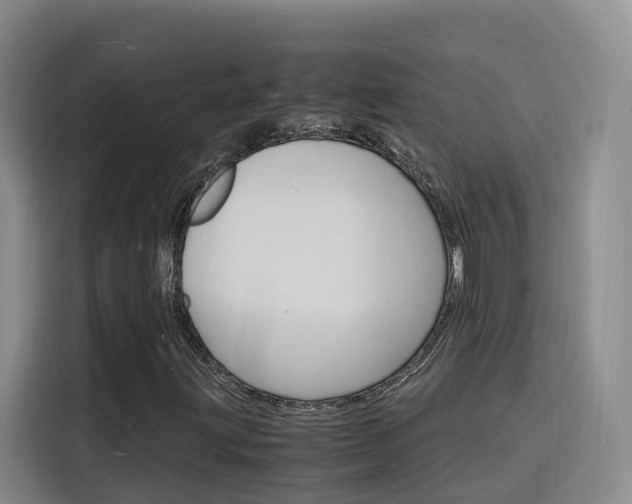 X0000116141203200911230925