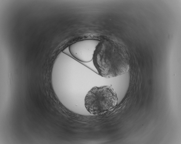 X0000116141205200911230925