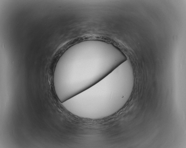 X0000116141206200911230925