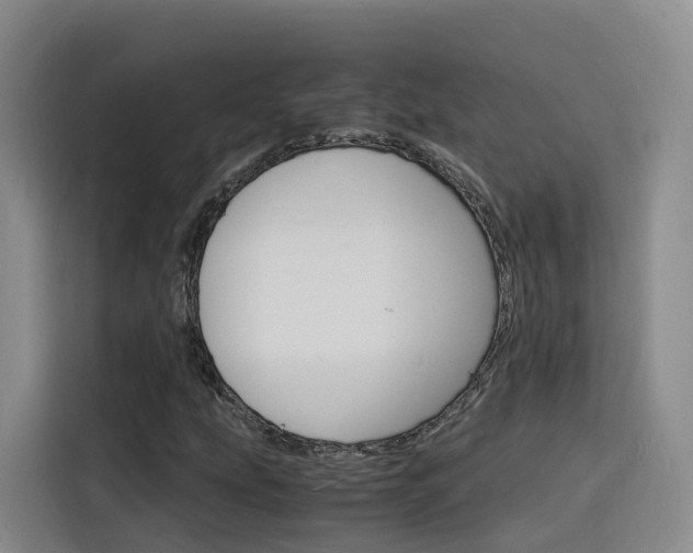 X0000116141207200911230925