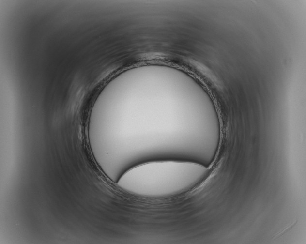 X0000116141209200911230925