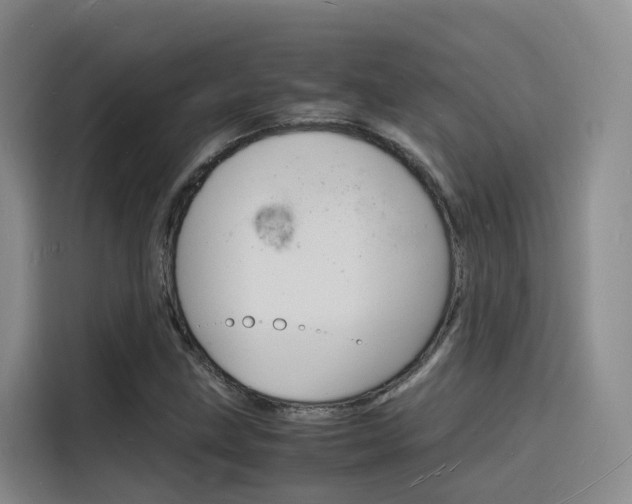 X0000116141211200911230925