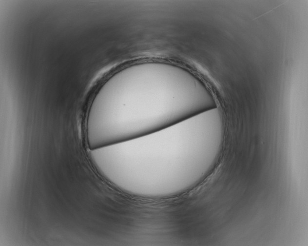 X0000116141214200911230925