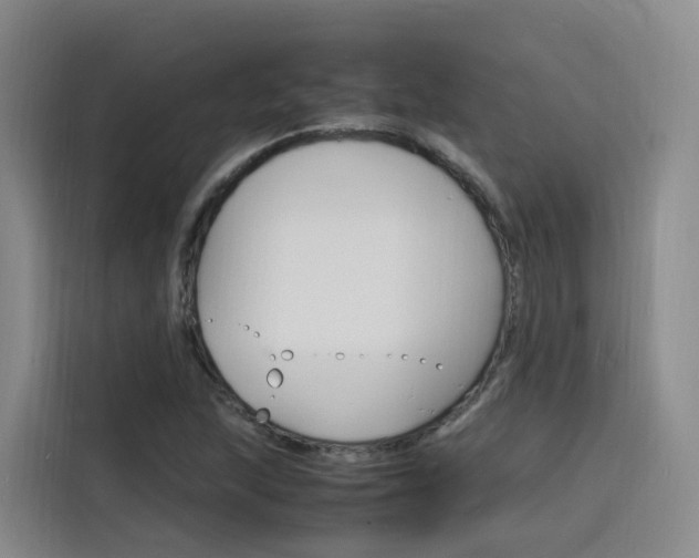 X0000116141215200911230925