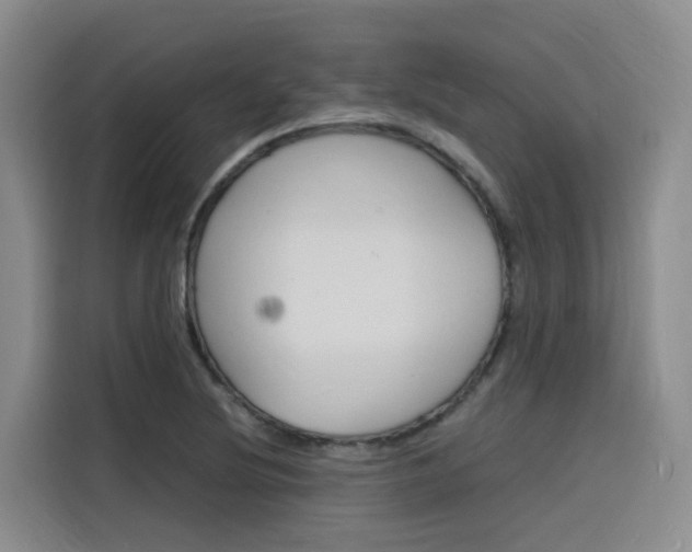 X0000116141220200911230925