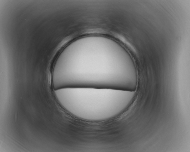 X0000116141221200911230925