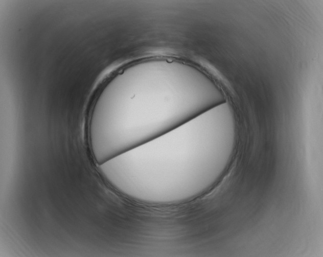 X0000116141222200911230925