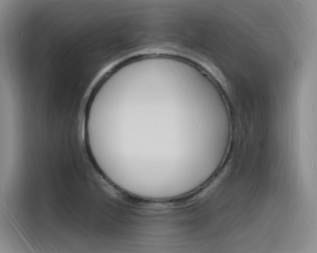 X0000116141224200911230925