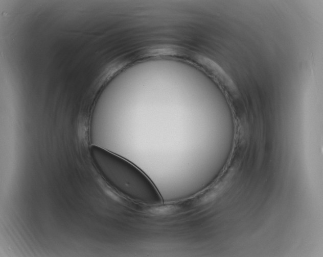 X0000116141225200911230925