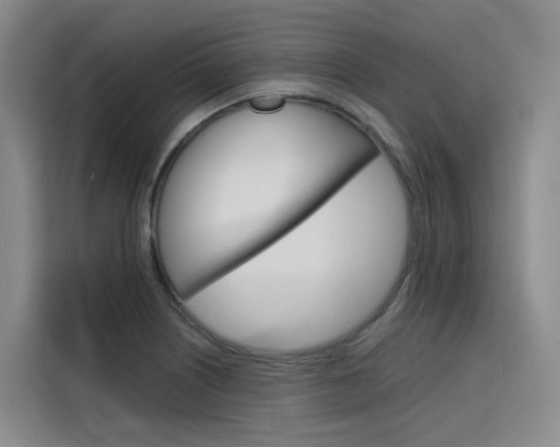 X0000116141226200911230925