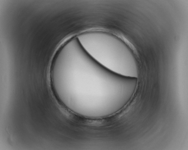 X0000116141229200911230925