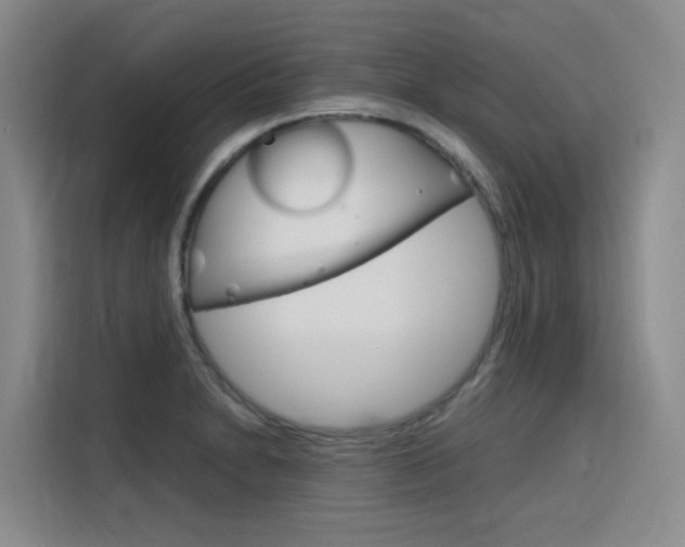 X0000116141230200911230925