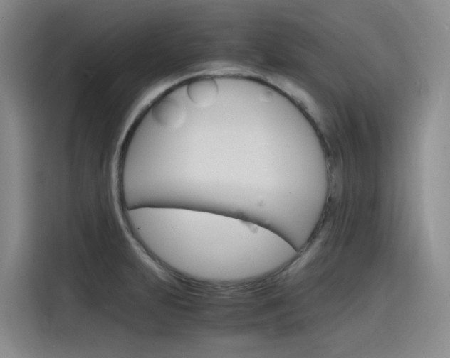 X0000116141231200911230925
