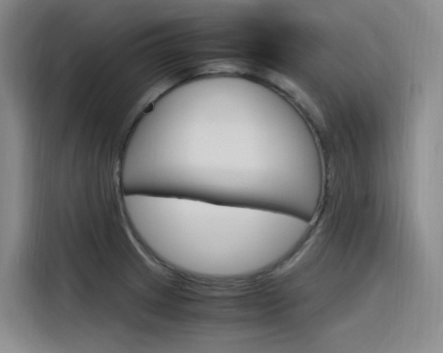 X0000116141233200911230925