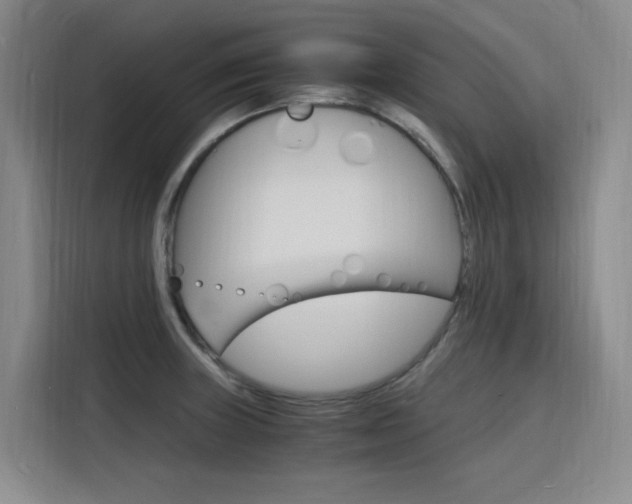 X0000116141235200911230925