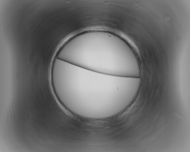 X0000116141237200911230925