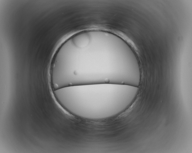 X0000116141239200911230925