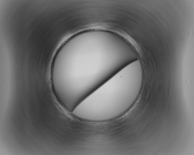 X0000116141240200911230925