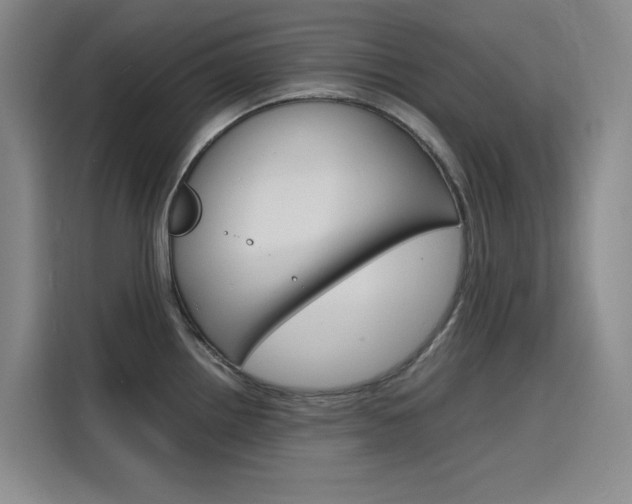 X0000116141242200911230925