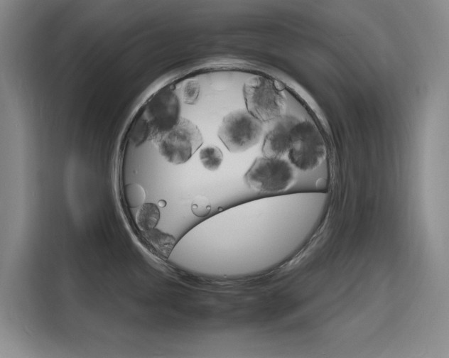 X0000116141245200911230925