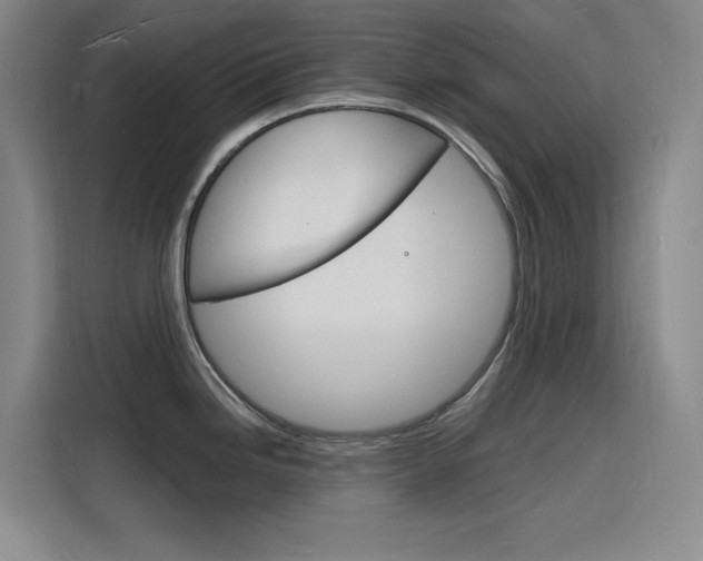 X0000116141246200911230925