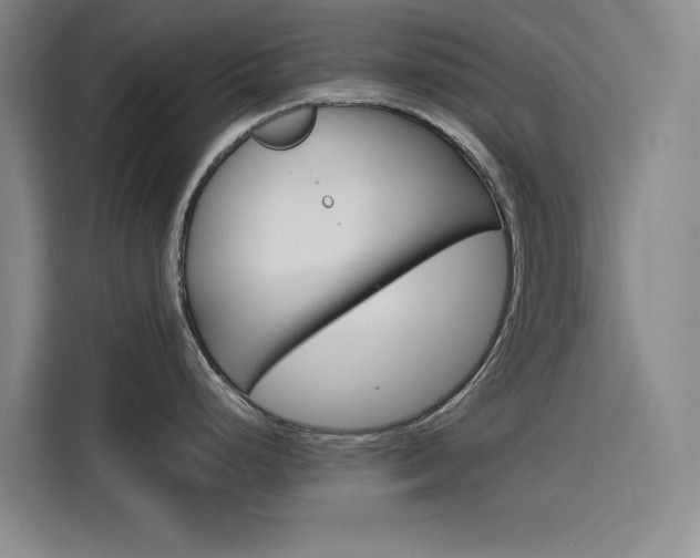 X0000116141248200911230925