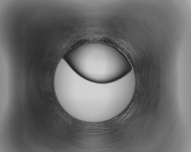 X0000116141252200911230925